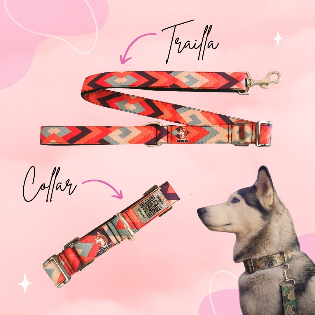 ¡Nuevo! Collar con identificación QR