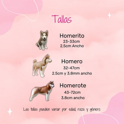 ¡Novedoso!  Collar con identificación QR
