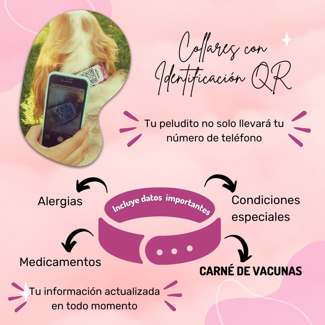 ¡Novedoso!  Collar con identificación QR
